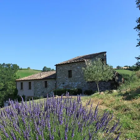 Carincone