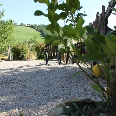 Carincone * Pergola