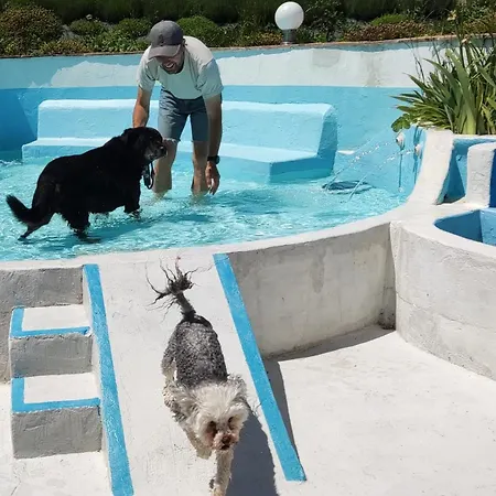 Апартаменты Carincone Пергола